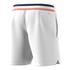 Adidas Men's Roland Garros Shorts 