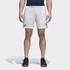 Adidas Men's Roland Garros Shorts 