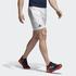 Adidas Men's Roland Garros Shorts 