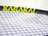 Karakal Raw 120 Squash Racket