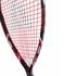 Ashaway Wallbanger 185 Racquetball Racket           