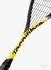 Tecnifibre Carboflex 125 Heritage 2 Squash Racket